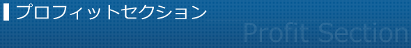 プロフィットセクション